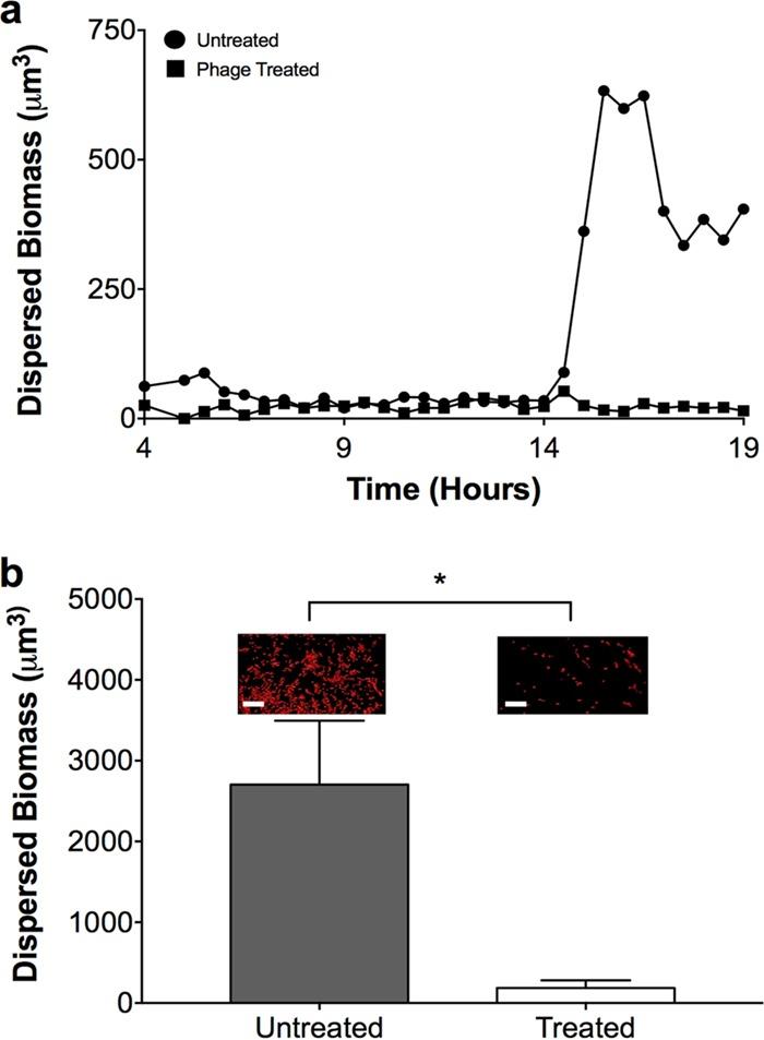 https://cdn.ncbi.nlm.nih.gov/pmc/blobs/b343/5380840/f5dad6340520/mbo0021732500005.jpg