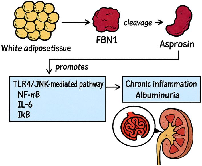 https://cdn.ncbi.nlm.nih.gov/pmc/blobs/b344/12301137/525c114119c6/DMSO-18-2493-g0001.jpg