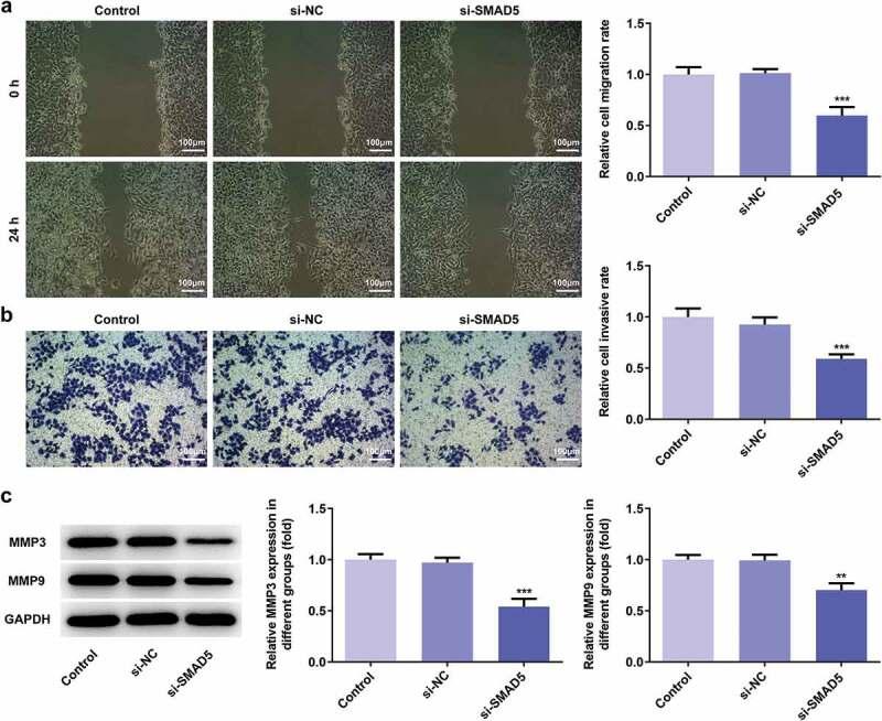 https://cdn.ncbi.nlm.nih.gov/pmc/blobs/b34a/8806318/c9215172089a/KBIE_A_1863619_F0009_OC.jpg