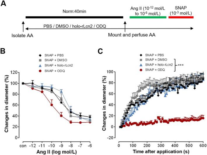 https://cdn.ncbi.nlm.nih.gov/pmc/blobs/b34b/12231162/407f37932d24/APHA-241-e70077-g004.jpg