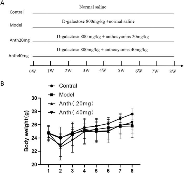 https://cdn.ncbi.nlm.nih.gov/pmc/blobs/b34d/12005982/d040f0868e85/FSN3-13-e70161-g003.jpg
