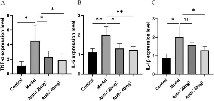 https://cdn.ncbi.nlm.nih.gov/pmc/blobs/b34d/12005982/e2846aaefc7b/FSN3-13-e70161-g009.jpg