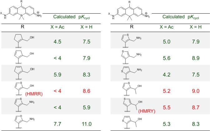 https://cdn.ncbi.nlm.nih.gov/pmc/blobs/b34d/9814528/264c36ed6a4d/42004_2020_326_Fig4_HTML.jpg