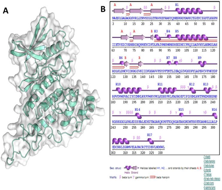https://cdn.ncbi.nlm.nih.gov/pmc/blobs/b353/12222492/62fc282ccbbd/41598_2025_8148_Fig1_HTML.jpg