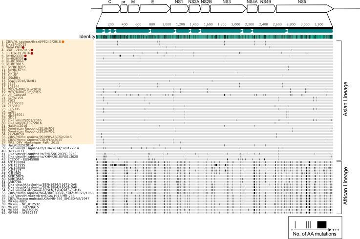 https://cdn.ncbi.nlm.nih.gov/pmc/blobs/b353/5051680/7119976114e8/pntd.0005048.g002.jpg