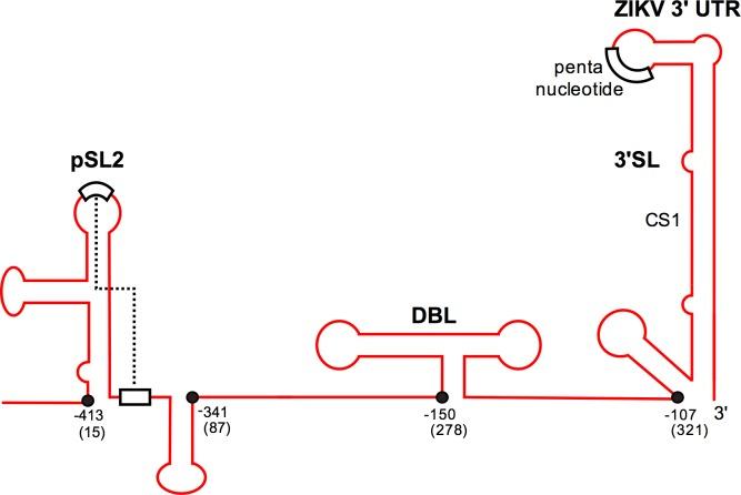 https://cdn.ncbi.nlm.nih.gov/pmc/blobs/b353/5051680/d1d9692446ae/pntd.0005048.g005.jpg
