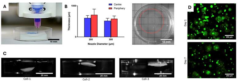 https://cdn.ncbi.nlm.nih.gov/pmc/blobs/b354/12192301/4bf03fd3e7cc/gels-11-00422-g010.jpg