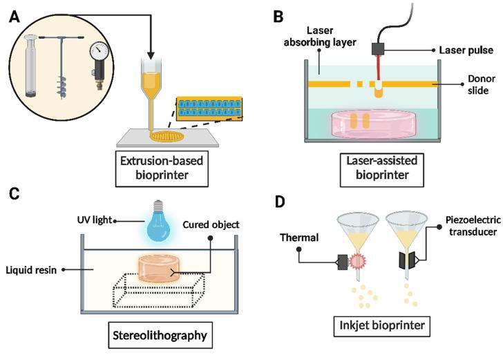 https://cdn.ncbi.nlm.nih.gov/pmc/blobs/b354/12192301/9eb428eb5f3d/gels-11-00422-g001.jpg