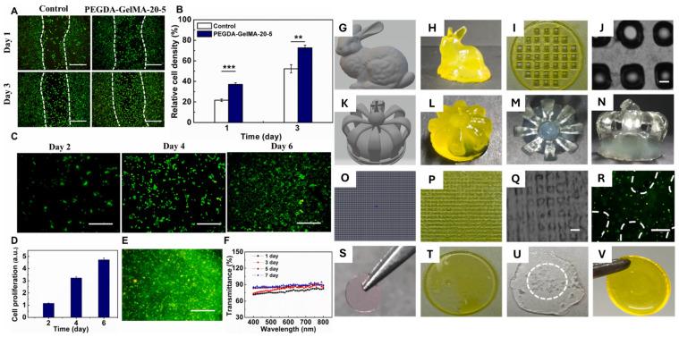 https://cdn.ncbi.nlm.nih.gov/pmc/blobs/b354/12192301/ef36a797697e/gels-11-00422-g005.jpg