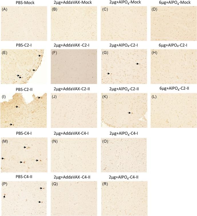 https://cdn.ncbi.nlm.nih.gov/pmc/blobs/b356/4543551/b73ae311690f/pone.0136420.g008.jpg