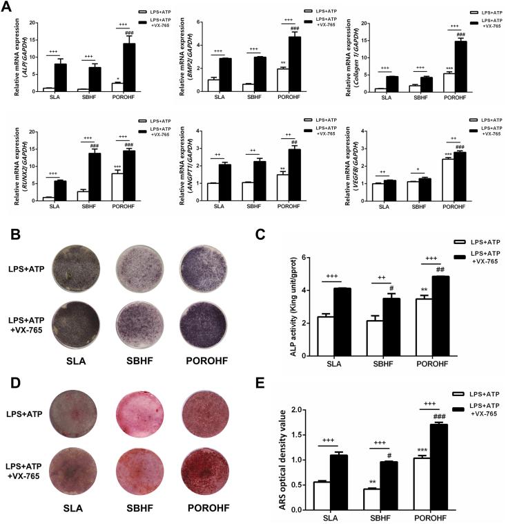 https://cdn.ncbi.nlm.nih.gov/pmc/blobs/b357/12254821/e43746359cdb/gr5.jpg