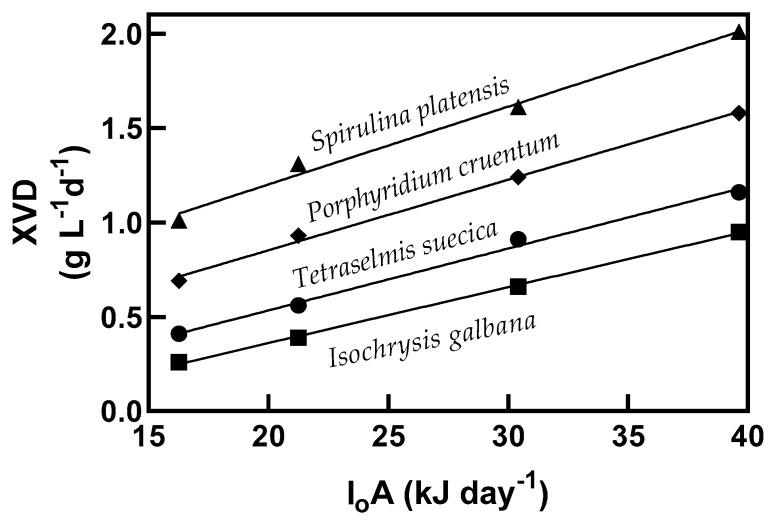 https://cdn.ncbi.nlm.nih.gov/pmc/blobs/b358/7570968/df5ffd707b57/molecules-25-04171-g002.jpg