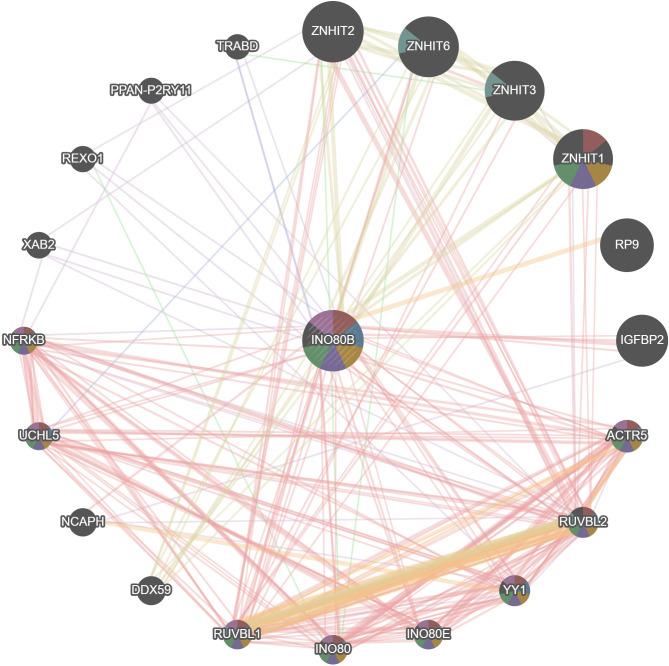https://cdn.ncbi.nlm.nih.gov/pmc/blobs/b35a/11762703/441246d3b243/41598_2025_87651_Fig2_HTML.jpg