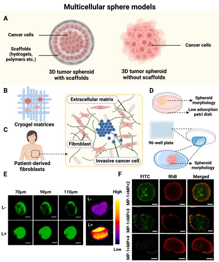 https://cdn.ncbi.nlm.nih.gov/pmc/blobs/b35c/10641097/33e09c19e0b5/gr3.jpg