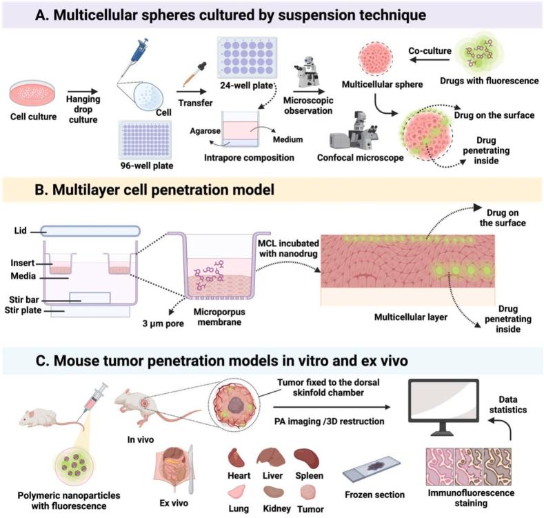 https://cdn.ncbi.nlm.nih.gov/pmc/blobs/b35c/10641097/d1f6b0888b7a/gr1.jpg
