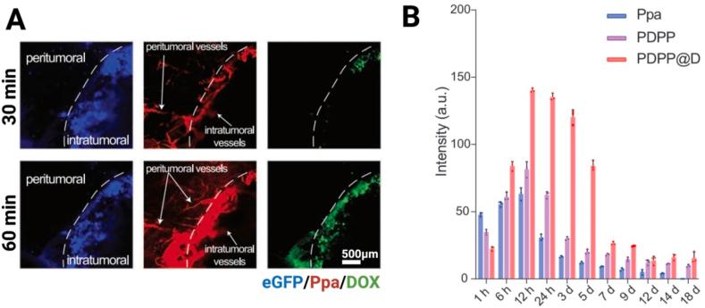 https://cdn.ncbi.nlm.nih.gov/pmc/blobs/b35c/10641097/e2b7c0a6221f/gr10.jpg