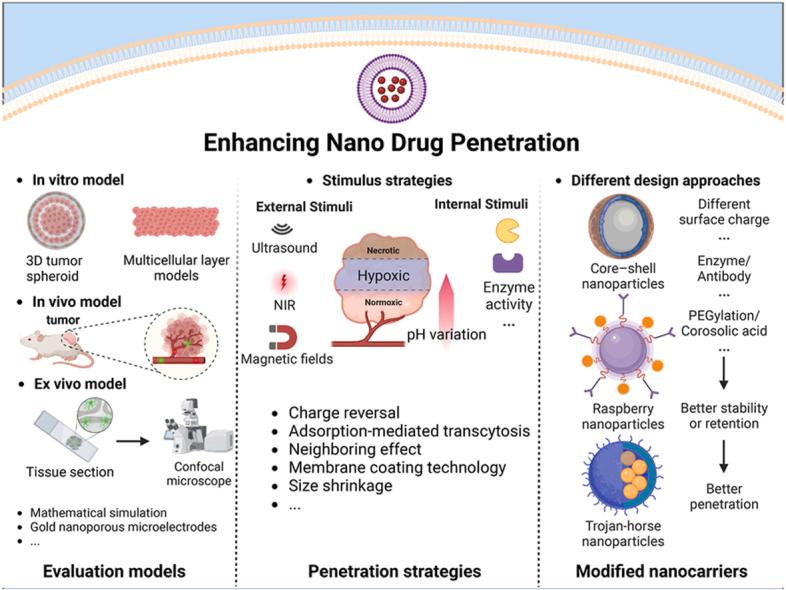 https://cdn.ncbi.nlm.nih.gov/pmc/blobs/b35c/10641097/ecaa4a652b8d/ga1.jpg