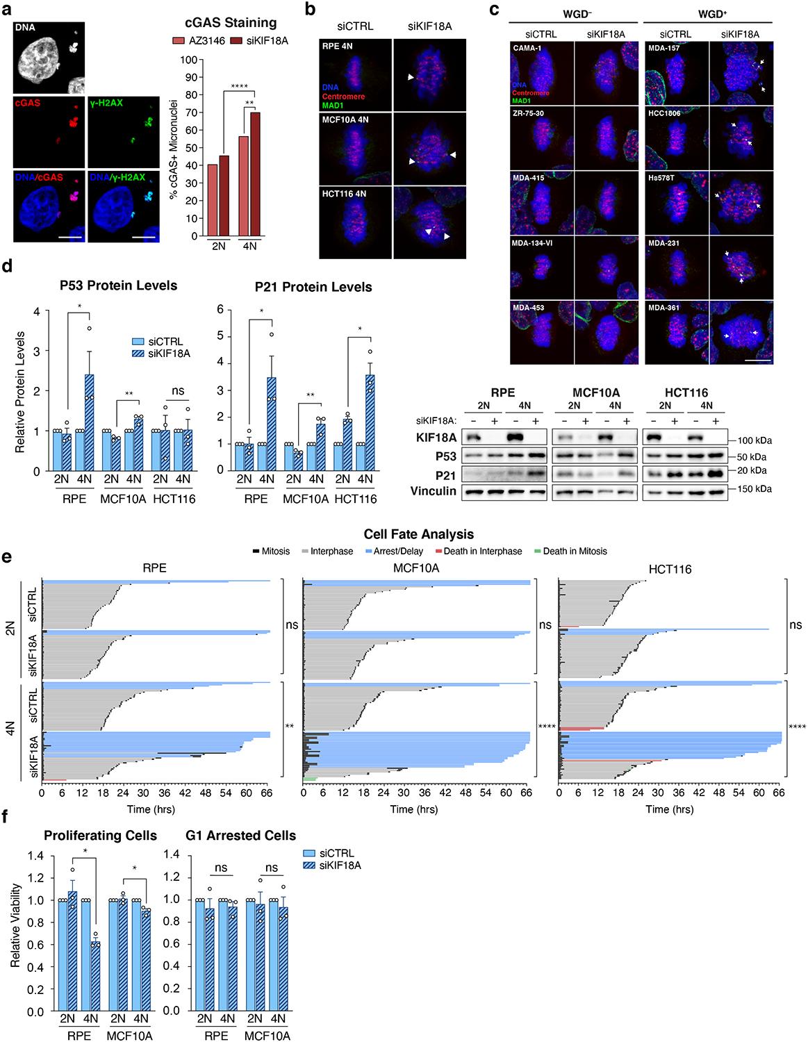 https://cdn.ncbi.nlm.nih.gov/pmc/blobs/b35c/7889737/413d9dcd570f/nihms-1656217-f0011.jpg