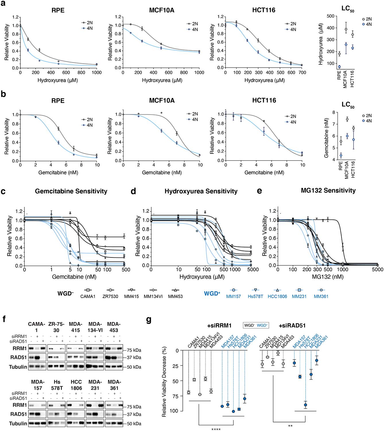 https://cdn.ncbi.nlm.nih.gov/pmc/blobs/b35c/7889737/85236272602e/nihms-1656217-f0008.jpg