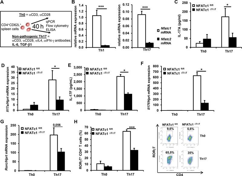 https://cdn.ncbi.nlm.nih.gov/pmc/blobs/b363/6681150/10f1e279e068/EJI-45-1426-g001.jpg