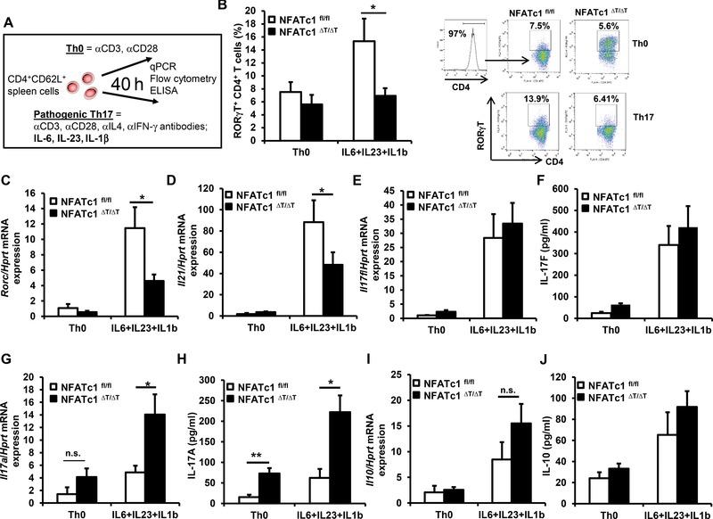 https://cdn.ncbi.nlm.nih.gov/pmc/blobs/b363/6681150/a92bb6bef58f/EJI-45-1426-g003.jpg