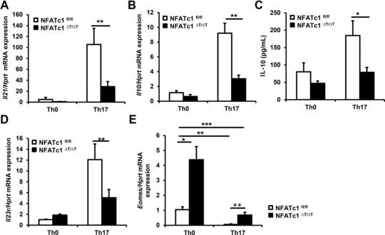 https://cdn.ncbi.nlm.nih.gov/pmc/blobs/b363/6681150/bdecb671a724/EJI-45-1426-g002.jpg