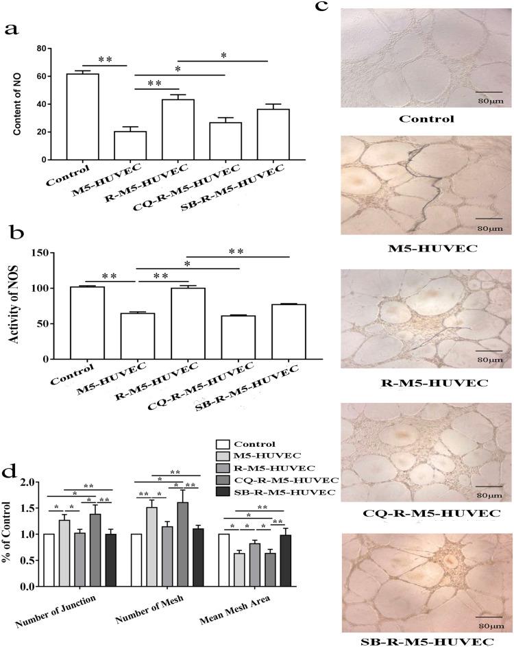 https://cdn.ncbi.nlm.nih.gov/pmc/blobs/b365/10024493/02c83792e076/CCID-16-659-g0004.jpg