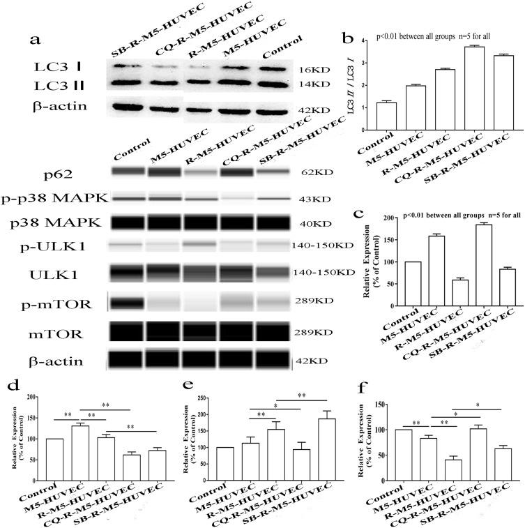 https://cdn.ncbi.nlm.nih.gov/pmc/blobs/b365/10024493/ab1c3e80a4d7/CCID-16-659-g0003.jpg