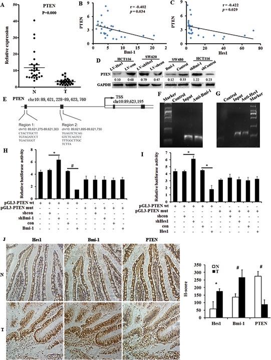 https://cdn.ncbi.nlm.nih.gov/pmc/blobs/b366/4770728/abc00b92b32e/oncotarget-06-38667-g004.jpg