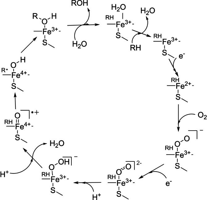 https://cdn.ncbi.nlm.nih.gov/pmc/blobs/b367/9541901/3e7b602d7237/ANIE-61-0-g011.jpg