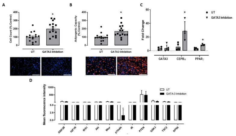 https://cdn.ncbi.nlm.nih.gov/pmc/blobs/b367/9569927/ea53d630e48c/ijms-23-11142-g001.jpg