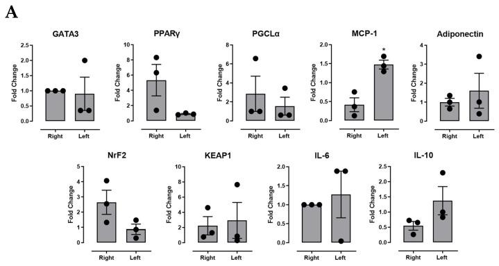 https://cdn.ncbi.nlm.nih.gov/pmc/blobs/b367/9569927/eb4e753985f5/ijms-23-11142-g004a.jpg