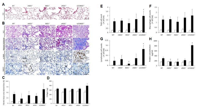 https://cdn.ncbi.nlm.nih.gov/pmc/blobs/b369/11395504/a12cfd1ed261/ijms-25-09317-g004.jpg