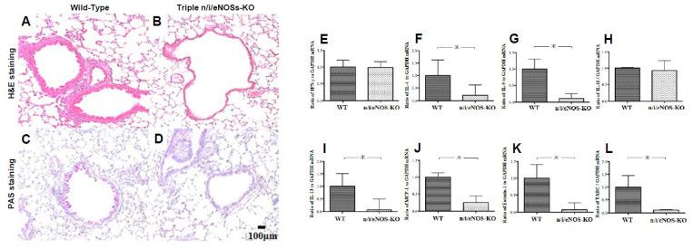 https://cdn.ncbi.nlm.nih.gov/pmc/blobs/b369/11395504/c8f16639ee39/ijms-25-09317-g006.jpg