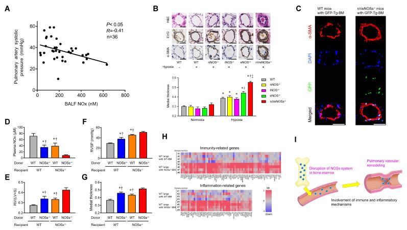 https://cdn.ncbi.nlm.nih.gov/pmc/blobs/b369/11395504/d1188a662af0/ijms-25-09317-g005.jpg