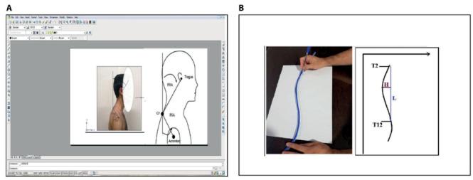 https://cdn.ncbi.nlm.nih.gov/pmc/blobs/b36d/12363419/e0c3f1b80563/MDL-116-16165-g001.jpg
