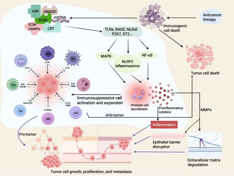 https://cdn.ncbi.nlm.nih.gov/pmc/blobs/b36d/12394712/310355a7947c/43556_2025_305_Fig7_HTML.jpg