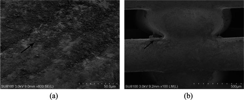 https://cdn.ncbi.nlm.nih.gov/pmc/blobs/b36f/9969685/36025d7d1172/12891_2023_6245_Fig3_HTML.jpg