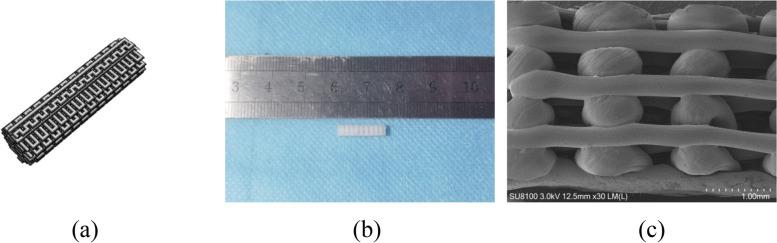 https://cdn.ncbi.nlm.nih.gov/pmc/blobs/b36f/9969685/60d911ababac/12891_2023_6245_Fig2_HTML.jpg
