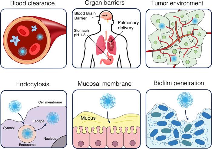https://cdn.ncbi.nlm.nih.gov/pmc/blobs/b372/11086401/69b3c4e662e6/cr3c00705_0001.jpg