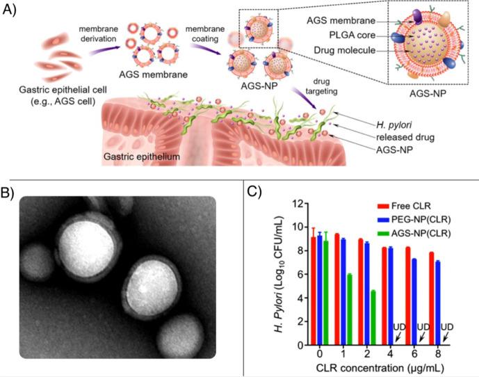 https://cdn.ncbi.nlm.nih.gov/pmc/blobs/b372/11086401/e005d74b55d8/cr3c00705_0063.jpg