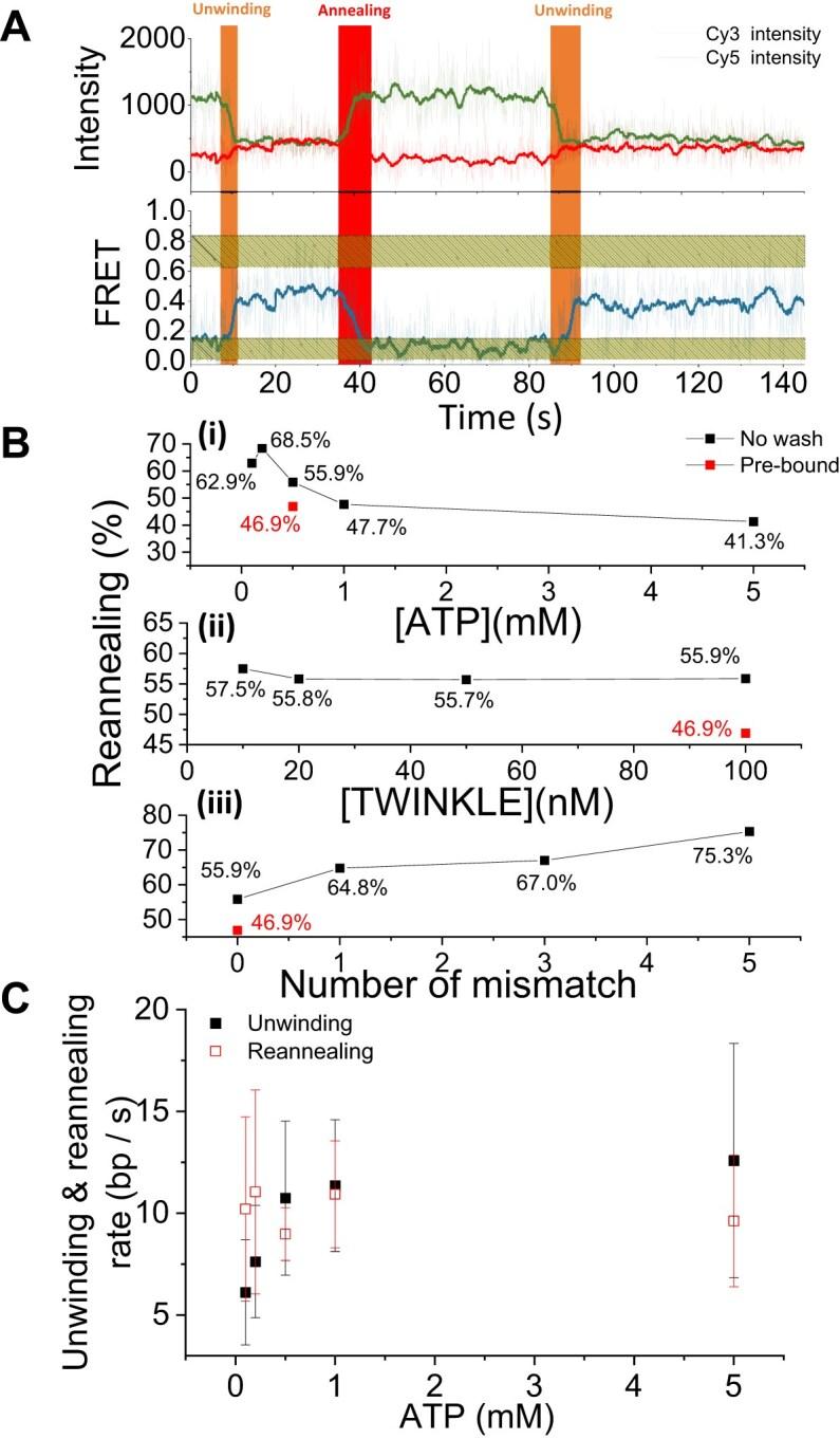 https://cdn.ncbi.nlm.nih.gov/pmc/blobs/b372/12390753/b0435ae473c2/gkaf803fig4.jpg