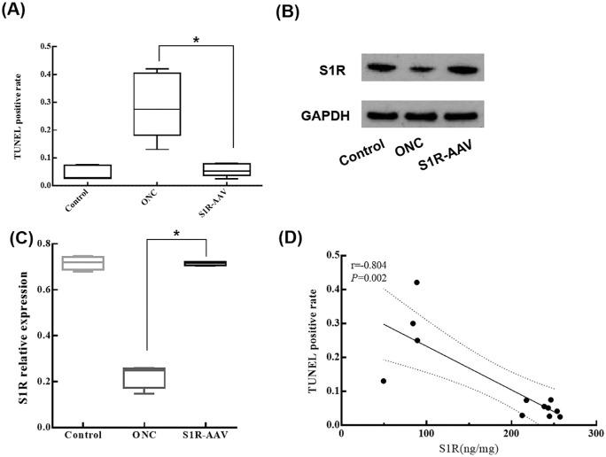 https://cdn.ncbi.nlm.nih.gov/pmc/blobs/b375/10484044/e24c21eba2ba/iovs-64-12-9-f005.jpg