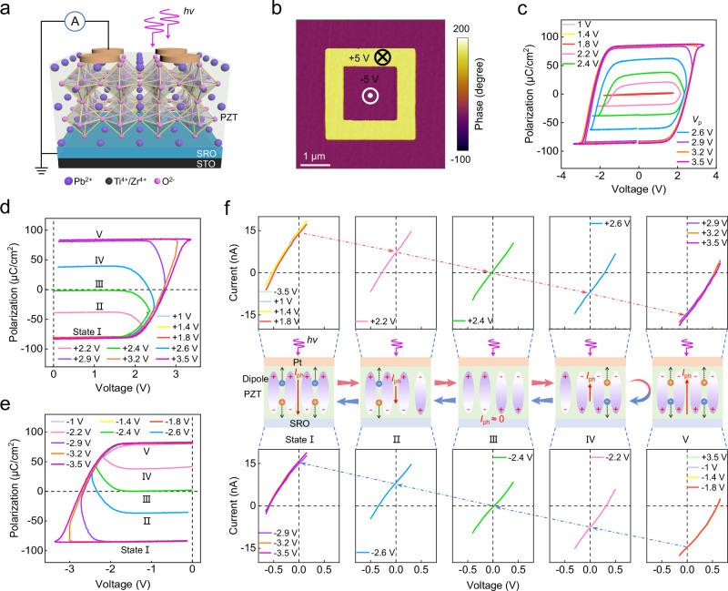 https://cdn.ncbi.nlm.nih.gov/pmc/blobs/b375/11707328/7969e922ddb1/41467_2024_55508_Fig2_HTML.jpg