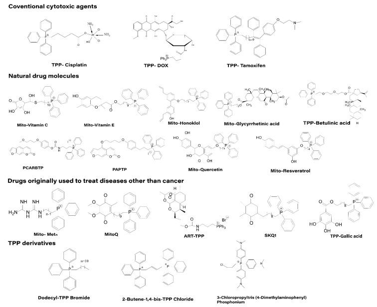 https://cdn.ncbi.nlm.nih.gov/pmc/blobs/b376/9913854/659895c3c54d/cancers-15-00666-g005.jpg