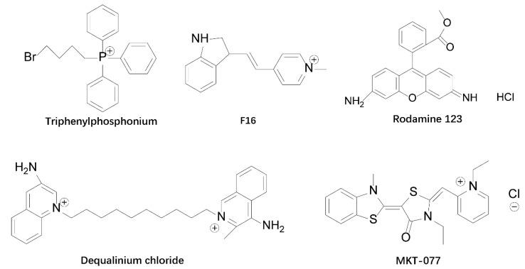 https://cdn.ncbi.nlm.nih.gov/pmc/blobs/b376/9913854/e1a0163ba08f/cancers-15-00666-g001.jpg