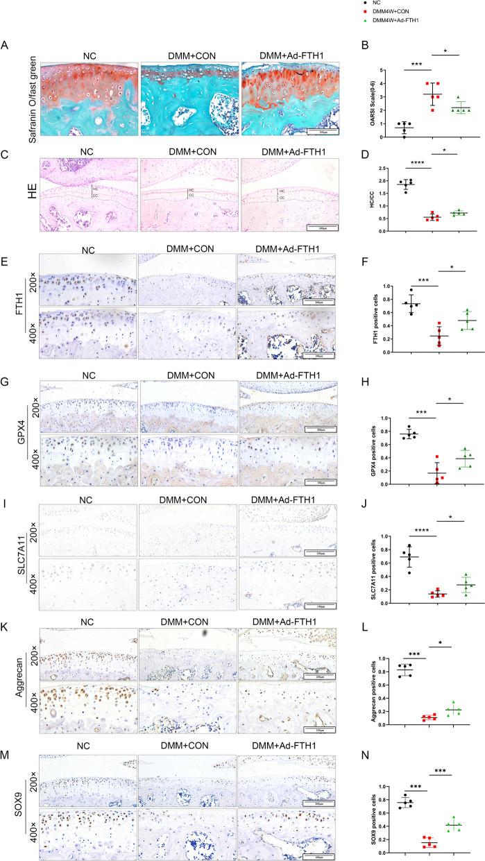 https://cdn.ncbi.nlm.nih.gov/pmc/blobs/b377/11010333/0f90f403d2d7/12891_2024_7411_Fig4_HTML.jpg