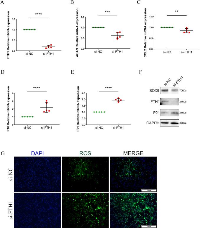 https://cdn.ncbi.nlm.nih.gov/pmc/blobs/b377/11010333/b2507a10097f/12891_2024_7411_Fig2_HTML.jpg