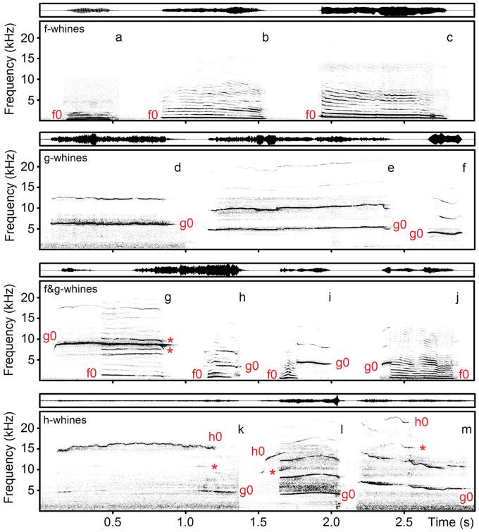 https://cdn.ncbi.nlm.nih.gov/pmc/blobs/b37b/8026154/bffcd0d32525/zoaa042f1.jpg