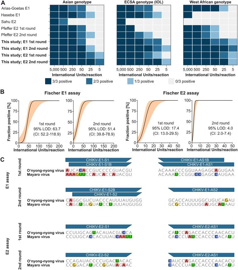 https://cdn.ncbi.nlm.nih.gov/pmc/blobs/b381/6609226/6e31387cf2a9/mSphere.00295-19-f0002.jpg